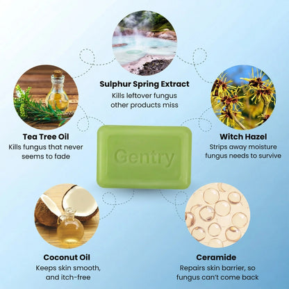 Gentry™ Tea Tree Bar Soap